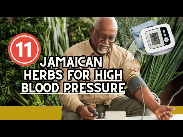 11 JAMAICAN HERBS for HIGH BLOOD PRESSURE / Earth's Medicine