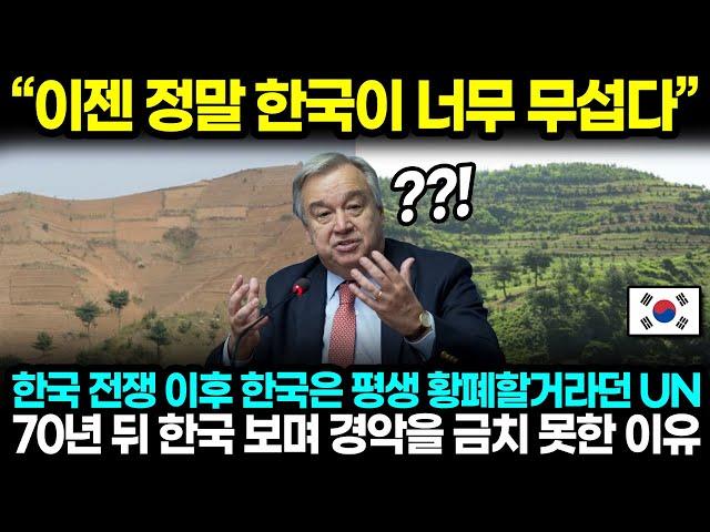 "이젠 정말 한국이 너무 무섭다" 한국 전쟁 이후 한국은 평생 황폐할거라던 UN 70년 뒤 한국 보며 경악을 금치 못한 이유 l 해외반응 한류