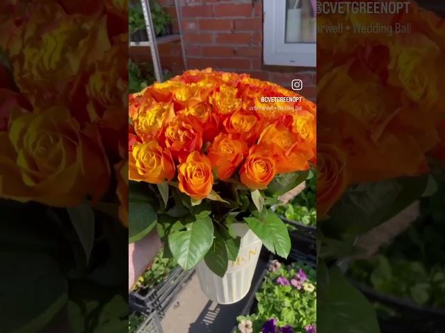 Санкт-Петербург.  База цветов Зеленый опт.  #цветы #букет #15 роз #25роз #51роза #101роза