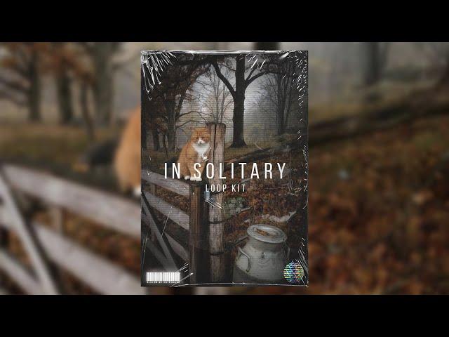 [FREE] Sad Piano x Guitar Loop Kit - In Solitary (Sad, Emotional)