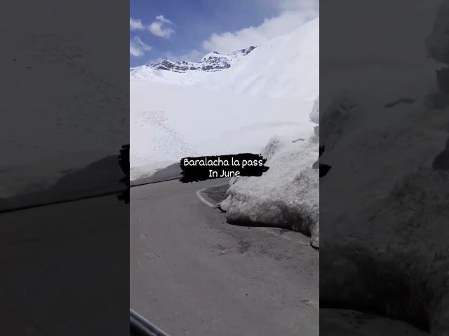 Baralacha Pass Manali #shorts #shortvideo