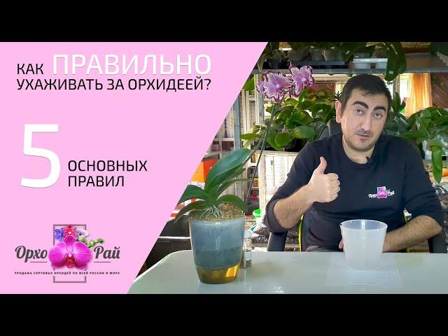 Как ПРАВИЛЬНО ухаживать за орхидеей? | 5 основных правил!