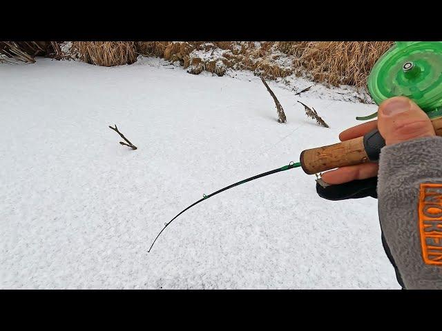 Первый лёд ВСТАЛ ЗАНОВО! На ПРОСТУЮ БЛЕСНУ из коряг.. Щука, Окунь! Зимняя рыбалка