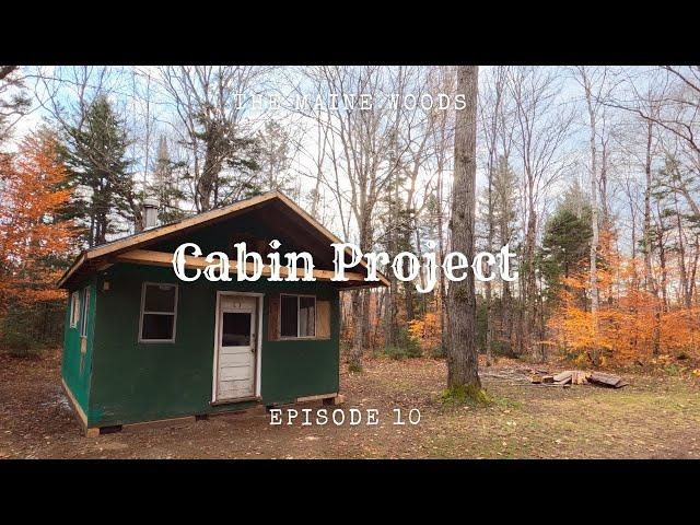 The Last Cabin Video | Dreaming Tree