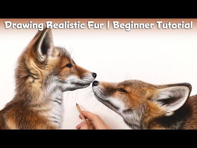 How to Draw Realistic Fur for BEGINNERS | Soft Pastel Fox Tutorial