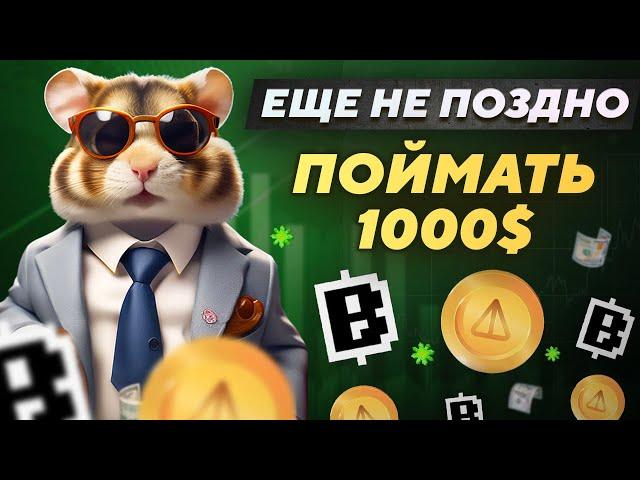 HAMSTER KOMBAT, NOTCOIN, BLUM | СКОЛЬКО ПОЛУЧИТСЯ ЗАРАБОТАТЬ?