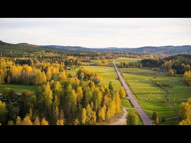 Осенняя природа Швеции. Autumn nature of Sweden.