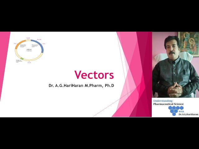 Introduction to Vectors