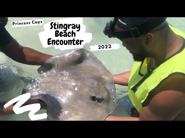 Stingray Beach Encounter Excursion Princess Cays 2022