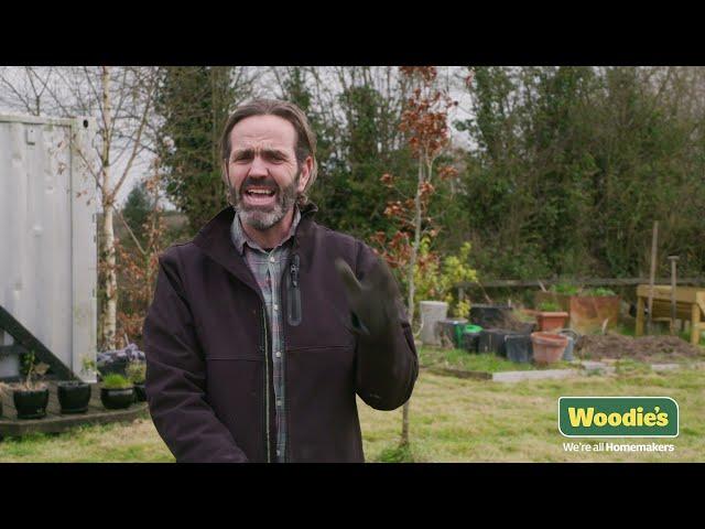 How To Sow A Wildflower Garden From Seed (with Expert Brian Burke)