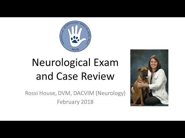 An in-depth review of how to conduct a neurological exam in the veterinary patient