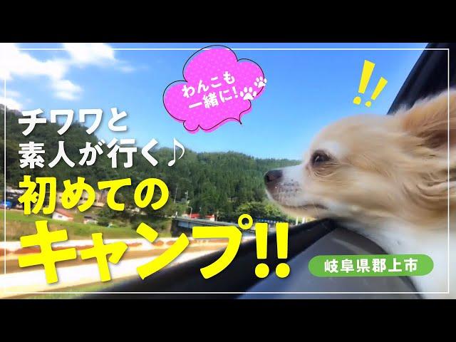 【犬とおでかけ】チワワと行く初めてのキャンプ!1日目BBQやお馬さん満喫の旅(岐阜県郡上市)