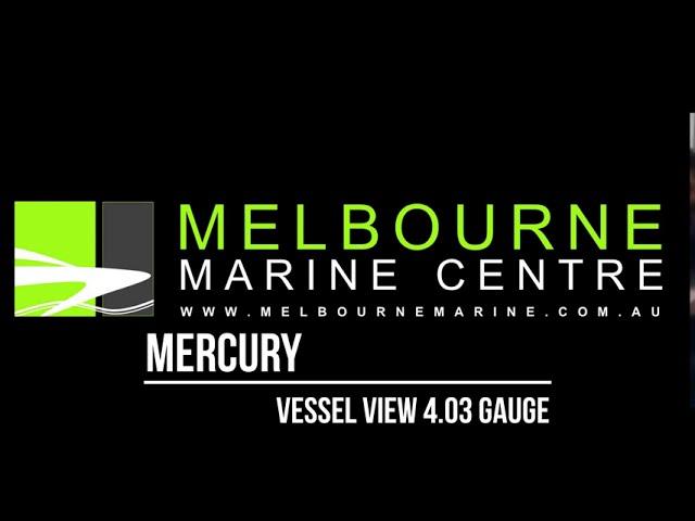 Mercury Vessel View 4 03 Gauge