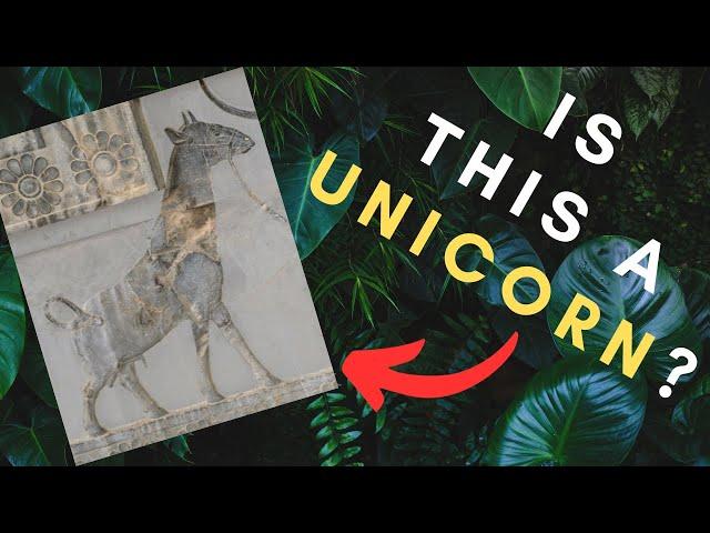 African Unicorn - From Myth to Reality - How a Cryptid was Discovered to be REAL