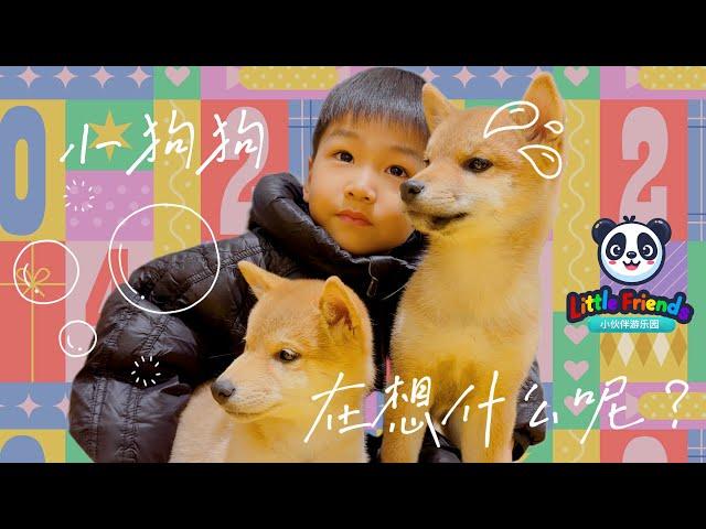 【小伙伴游乐园Little Friends 08】“我爱狗狗”I Love Dogs