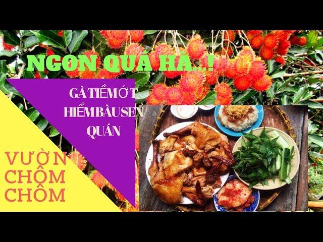 Vườn Chôm Chôm - Bàu Sen Quán - gà tiềm ớt hiểm  - Rong Chơi cùng Người Hàn Quốc