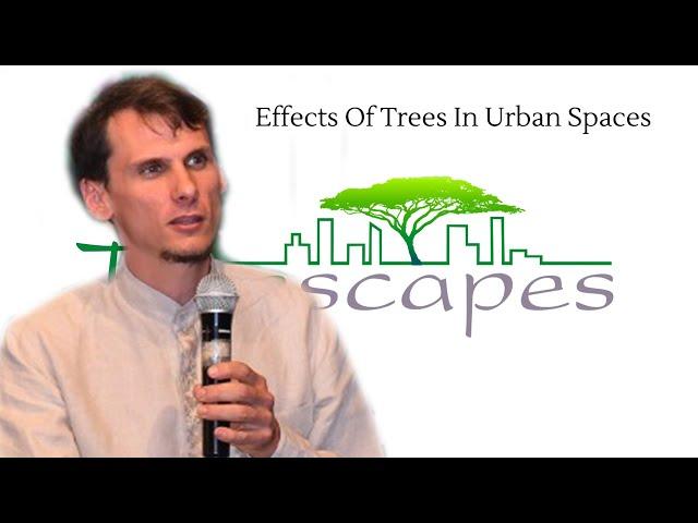 Effects Of Trees In Urban Spaces  Why Trees Are Important To Our Environment  Auroville India