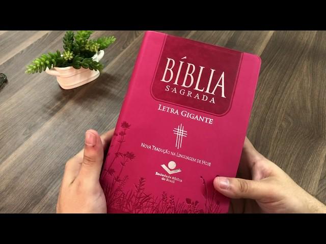 Bíblia Sagrada | NTLH | Letra Gigante | Pink | Luxo Com Índice