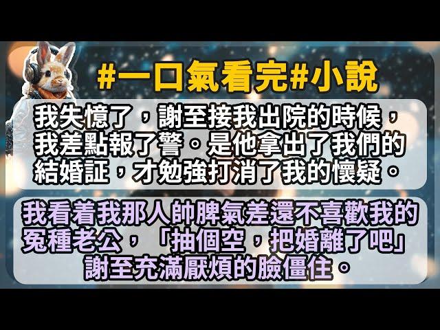 我失憶了，謝至接我出院的時候，我差點報了警。是他拿出了我們的結婚証，才勉強打消了我的懷疑。我看着我那人帥脾氣差還不喜歡我的冤種老公， 「抽個空，把婚離了吧。」 謝至充滿厭煩的臉僵住。