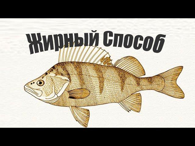 Хитрый способ, как ловить только жирного окуня!