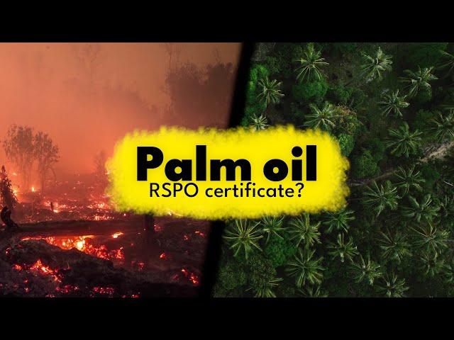 The Problem With Palm Oil - RSPO certifications helps?