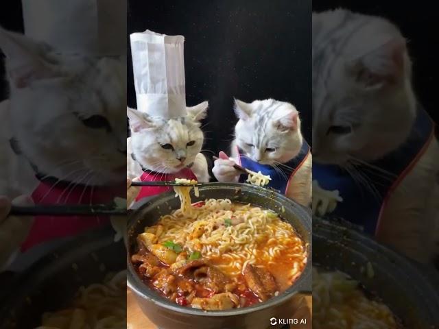 Kling AI Examples -11 - Cats eating noodles! -#klingai #klingaivideo #aivideo #aivideogenerator