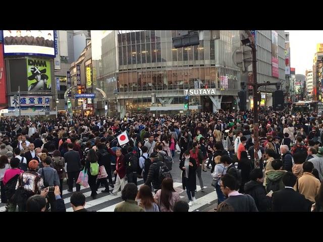 Tokyo Shibuya crossing during rush hour