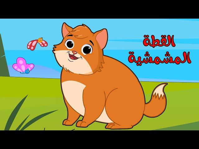 اغنية القطه المشمشيه حلوه بس شقيه | اغاني اطفال بون بون