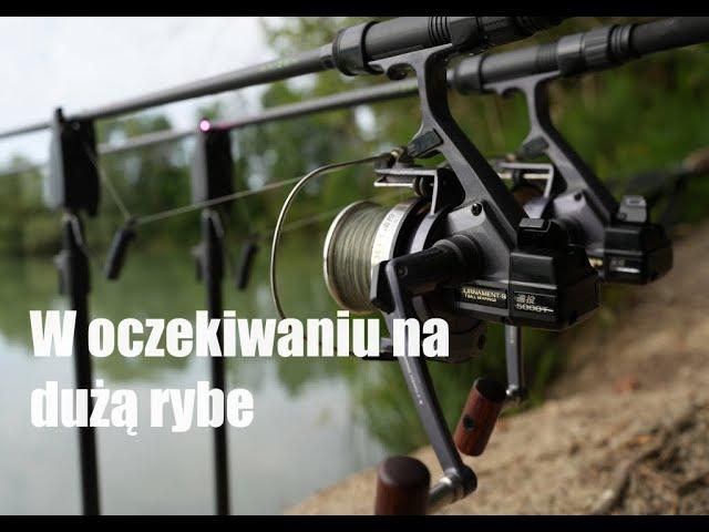 W oczekiwaniu na dużą rybę