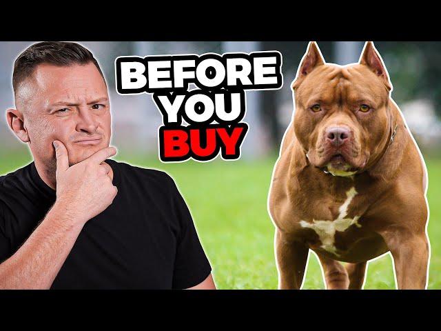 Is the PIT BULL Right For You?