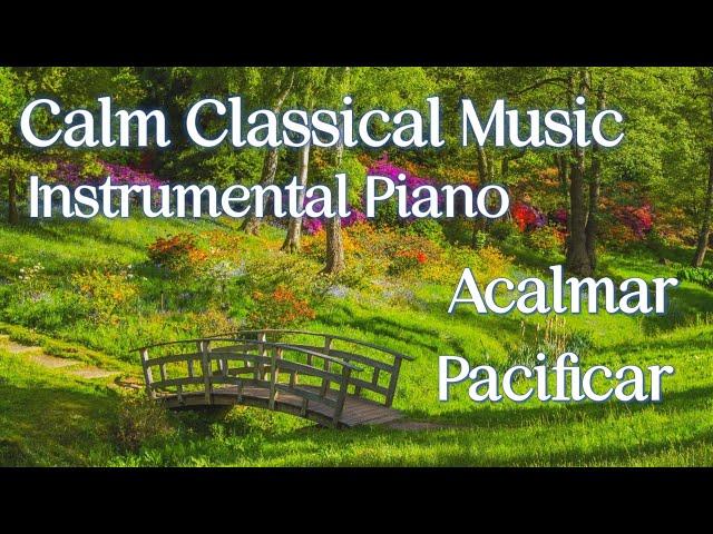 Calm Classical Music | Instrumental Piano | Calm and pacify