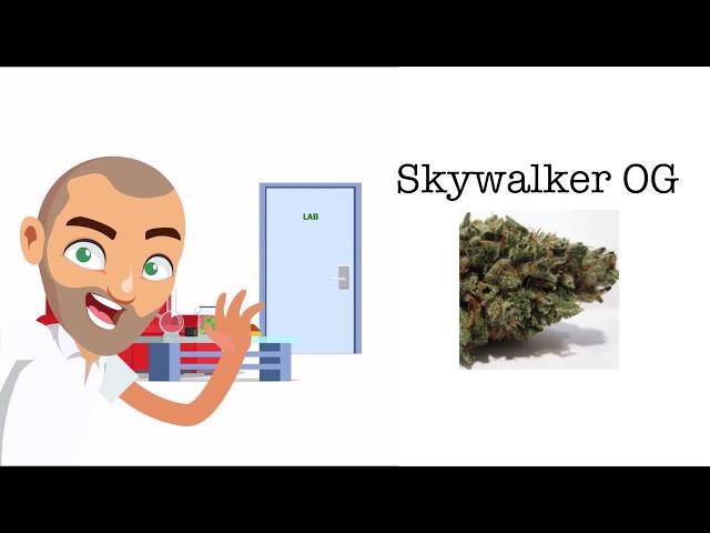 Skywalker OG Strain Review