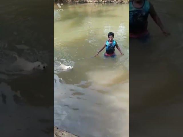 Bruno swimming cheythu guys 