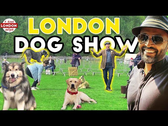 கண்கவரும் London Dog Show | ​​ WITNESS Husky & Pomeranian CROSS BREED | UK SANTHAI EP 2