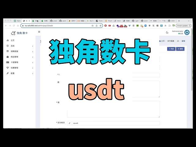 独角数卡快速对接USDT支付：一站式集成指南