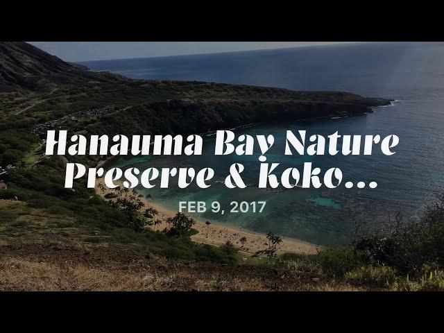 Hanauma Bay Trail