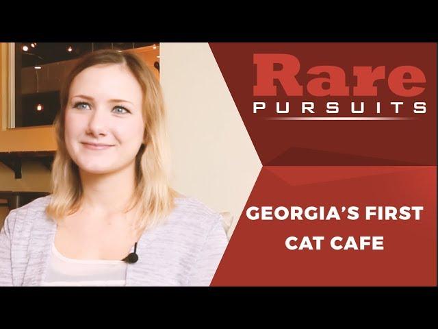 Java Cats Cafe's surprising owner | Rare Pursuits