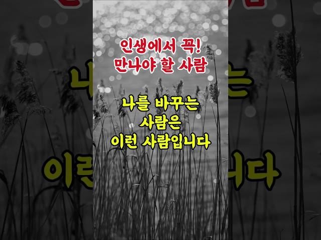 인생에서 꼭 만나야 할 사람은 이런 사람입니다.