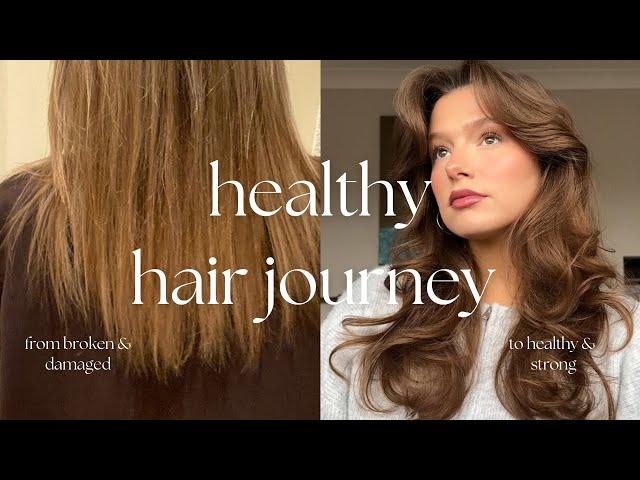 my healthy hair journey | how I transformed my hair from broken bleached to healthy natural