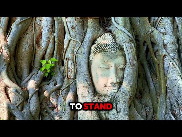 Why Is A Buddha Head in Tree Roots? Ayutthaya Thailand
