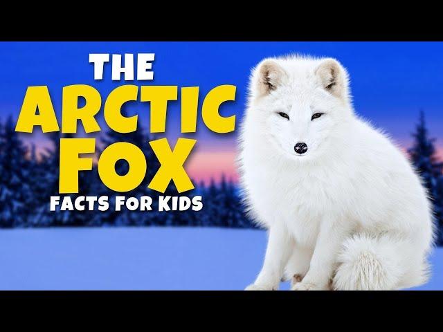 The Mysterious Arctic Fox  - Fun Educational Facts for Kids