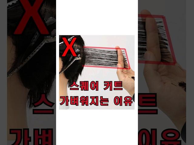 스퀘어 커트 가벼워지는 이유 #헤어인턴 #헤어디자이너 #미용사 #미용인턴 #커트교육 #미용기초 #미용인 #헤어스탭 #헤어 # 미용기본 #커트이론 #미용이론 #커트교육 #미용교육