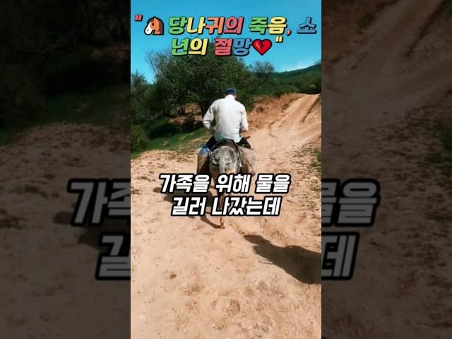 "당나귀와 소년의 슬픈 이야기", "당나귀의 죽음, 소년의 절망"