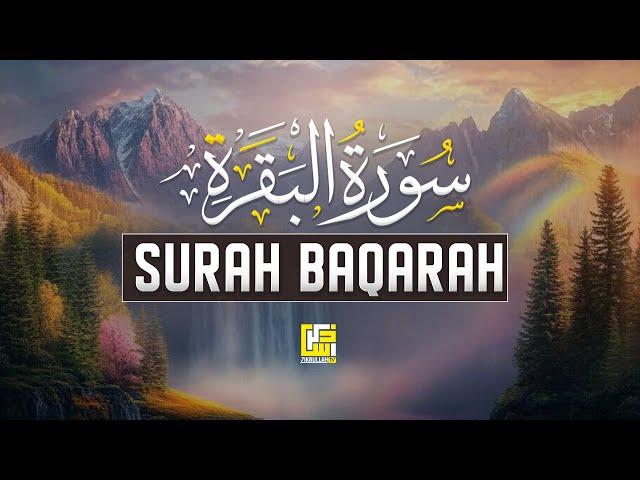 Surah Baqarah سورة البقره | Majestic Quran Recitation Heart Touching Relaxing Voice | Zikrullah TV