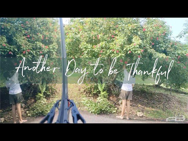 #15 - Another Day to be Thankful | A Mother's Love 