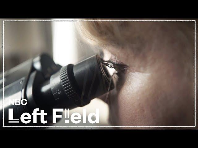 Does Parasitic Skin Disease - Morgellons - Even Exist? | NBC Left Field