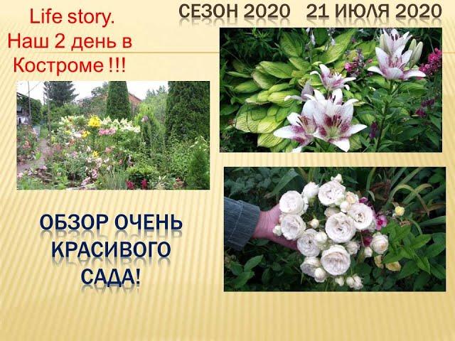 В гостях! Обзор очень красивого сада!