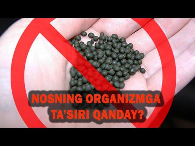 Nosning organizmga ta’siri qanday?