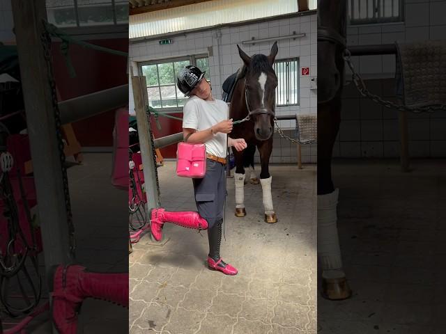 Pink is for everyone  #viral #horse #equestrian #riding