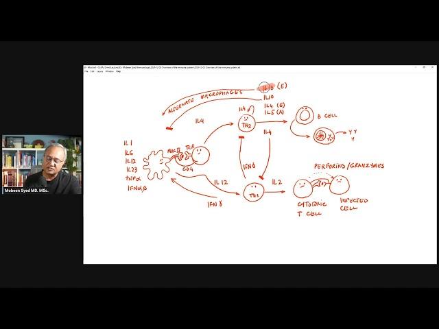 An Overview of Our Immune System